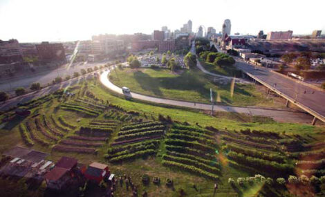 Guide to Urban Homesteading Image